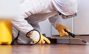 Best Residential Pest Control  in Roosevelt Park, MI